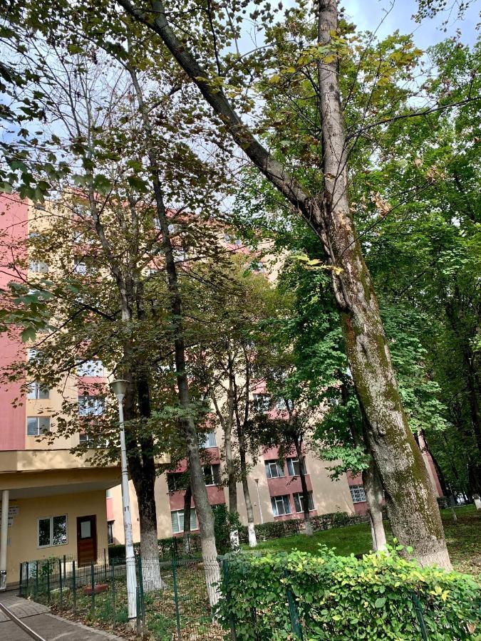 Luand Apartament Яссы Экстерьер фото